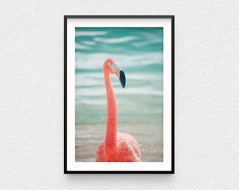 May include: A pink flamingo stands in shallow water with a blue and white background. The flamingo's head is turned to the side, and its long neck is curved.