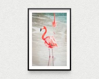 May include: A framed photograph of two pink flamingos standing in shallow water. The flamingos are in focus, while the background is blurred.