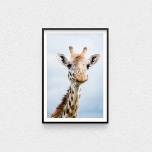 Kenya Wildlife Safari Travel Instant Digital Download Fine Art Photography Lion Photo Printable Wall Art to Print Africa Animal