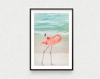 Aruba Flamingo Photo Print, Beach Bird Photography, Nature Wall Art
