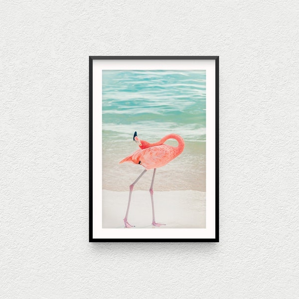 Flamingo Photo Print, Nature Wall Art, Aruba Photography Beach print Bird photography Home Decor Nursery animals Fine Art Photography