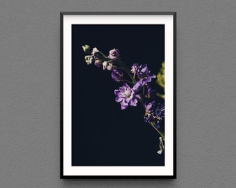 Purple Flower Photo Print, Floral Wall Art, Flower Photography, Modern Home Decor, Fine Art Photography, purple flowers on a single stem