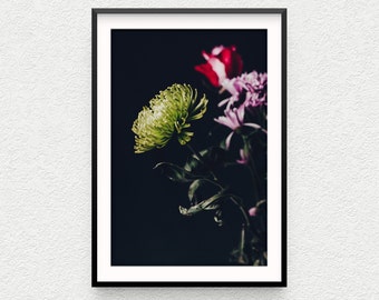 Chrysanthemum Photo Print, Floral Wall Art, Green Flower Photography, Modern Home Decor, Fine Art Photography, green, red, purple flowers