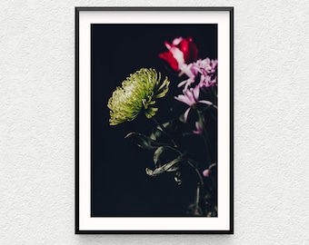 Chrysanthemum Photo Print, Floral Wall Art, Green Flower Photography, Modern Home Decor, Fine Art Photography, green, red, purple flowers