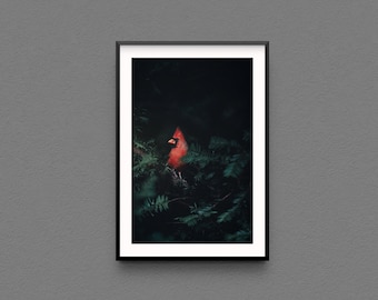 Cardinal Photo Print - New York City Nature Wall Art North American Cardinal Bird Photography Original Home Decor, Fine Art Fort Tryon Park