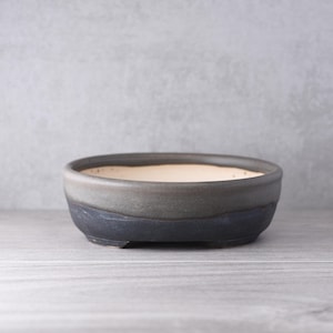 May include: A shallow, round ceramic bonsai pot featuring a two-tone finish. The exterior displays a dark charcoal grey base that transitions into a lighter, muted grey upper rim, while the interior is a smooth, light beige, unglazed ceramic surface.
