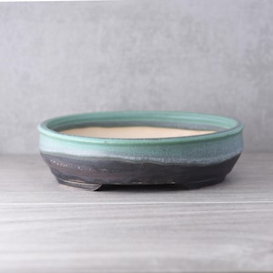 Può includere: Un vaso per bonsai in ceramica, poco profondo e di forma ovale, caratterizzato da una smaltatura bicolore. La parte superiore è di un verde acqua tenue e spento, mentre la sezione inferiore sfuma in una base nero carbone. L'interno è beige.