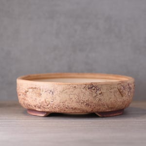 Może przedstawiać: Okrągła, beżowa donica do bonsai z teksturowanym zewnętrzem i czerwonobrązową podstawą. Donica ma szeroki, płytki kształt i jest wykonana z ceramiki. Donica stoi na drewnianej powierzchni.