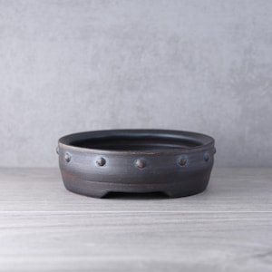 May include: A low, round, dark charcoal-colored ceramic bonsai pot with a smooth, matte finish. The exterior wall features a series of evenly spaced, small, raised circular studs encircling the circumference, creating a subtle textured detail.