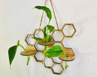 New Wall Hanging Propagation Station, Plant Wall Decor, Plant Cutting, Honeycomb, Wall Hanging for Plant Lover, Pothos, Unique Holiday Gift