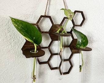 New Wall Hanging Propagation Station, Plant Wall Decor, Plant Cutting, Honeycomb, Wall Hanging for Plant Lover, Pothos, Unique Holiday Gift