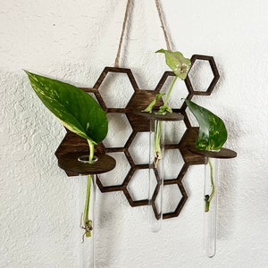 New Wall Hanging Propagation Station, Plant Wall Decor, Plant Cutting, Honeycomb, Wall Hanging for Plant Lover, Pothos, Unique Holiday Gift