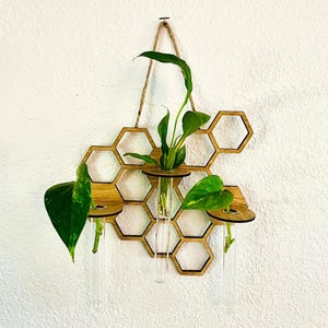 New Wall Hanging Propagation Station, Plant Wall Decor, Plant Cutting, Honeycomb, Wall Hanging for Plant Lover, Pothos, Unique Holiday Gift