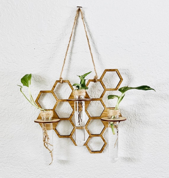 Wall Hanging Propagation Station | Plant Accessory | Plant Cutting | Honeycomb | Wall Bud | Plant Lover | Pothos | Hanging Plant Room Decor