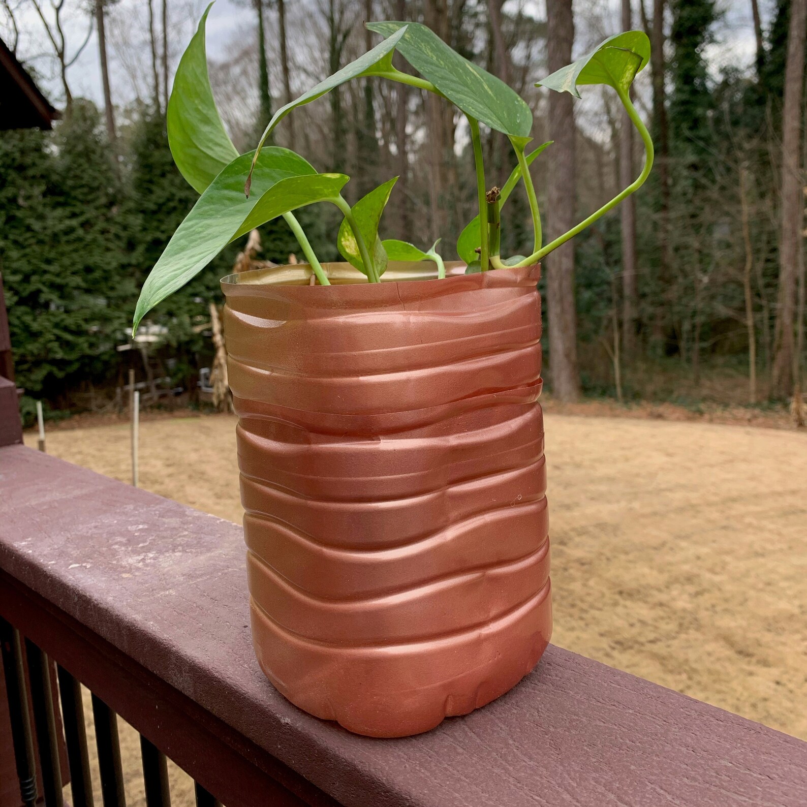 Selfwatering Planter Made From Plastic Bottle Etsy Australia