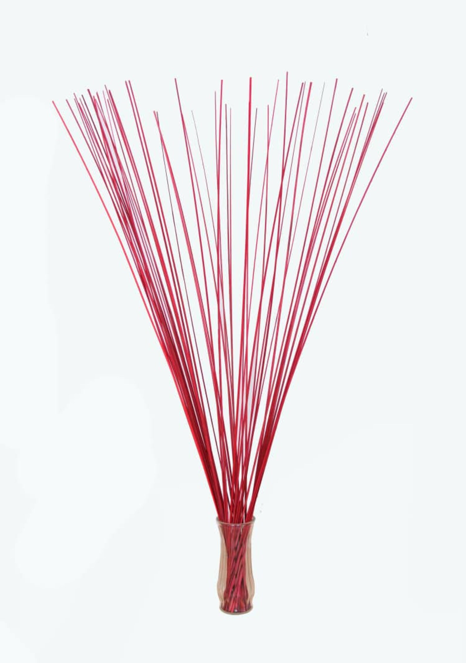 Natural Decorative Branches Raffia Tall Branches for Vase Etsy