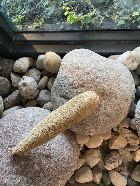Natural West African Loofah Sponge Etsy