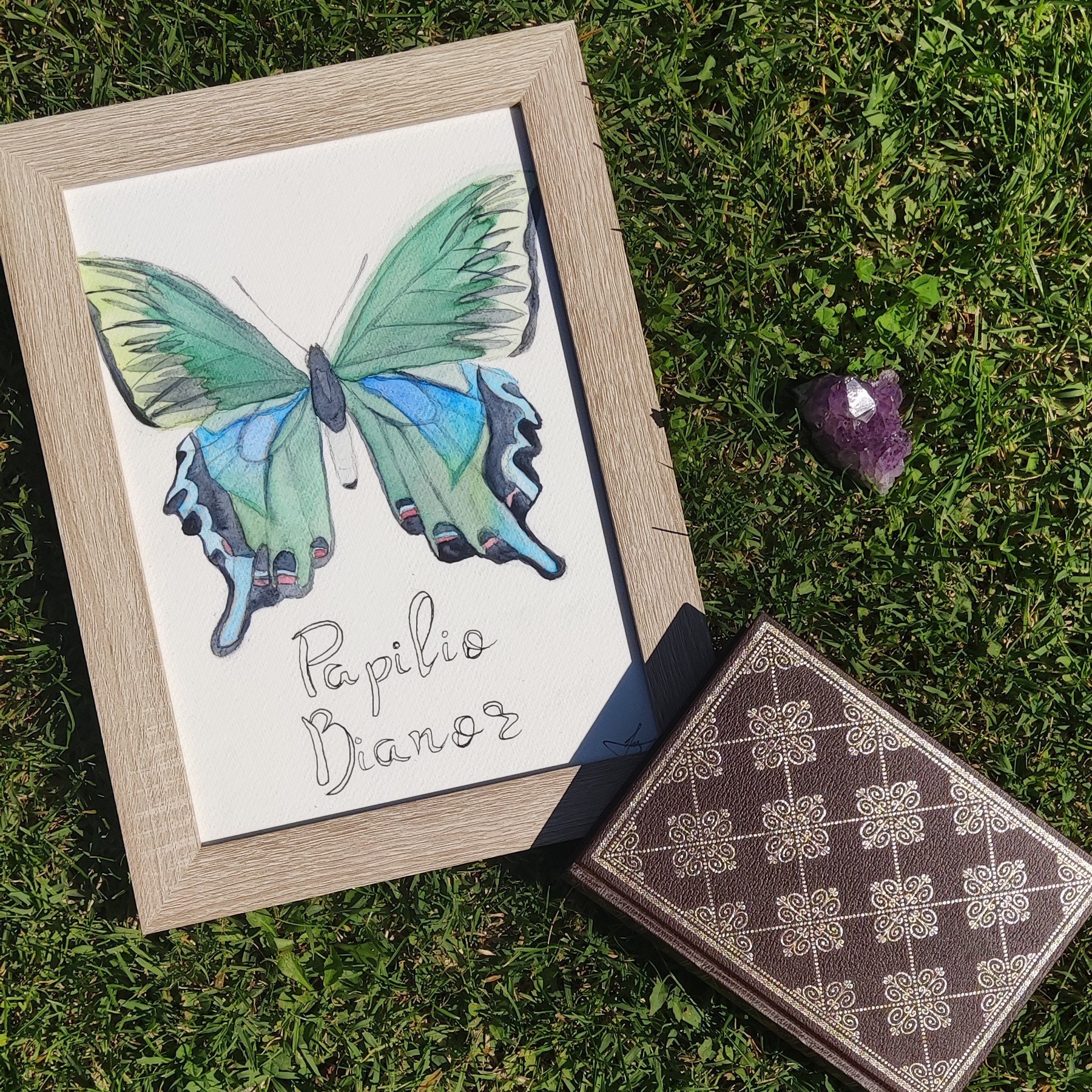 Papilio Bianor, Aquarelle, Fait Main, Déco