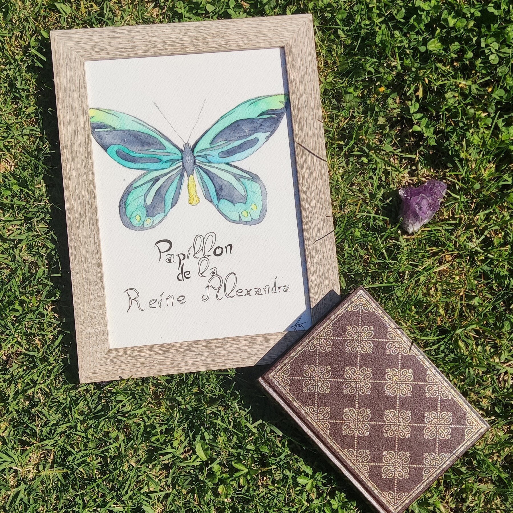 Papillon de La Reine Alexandra, Aquarelle, Fait Main, Déco