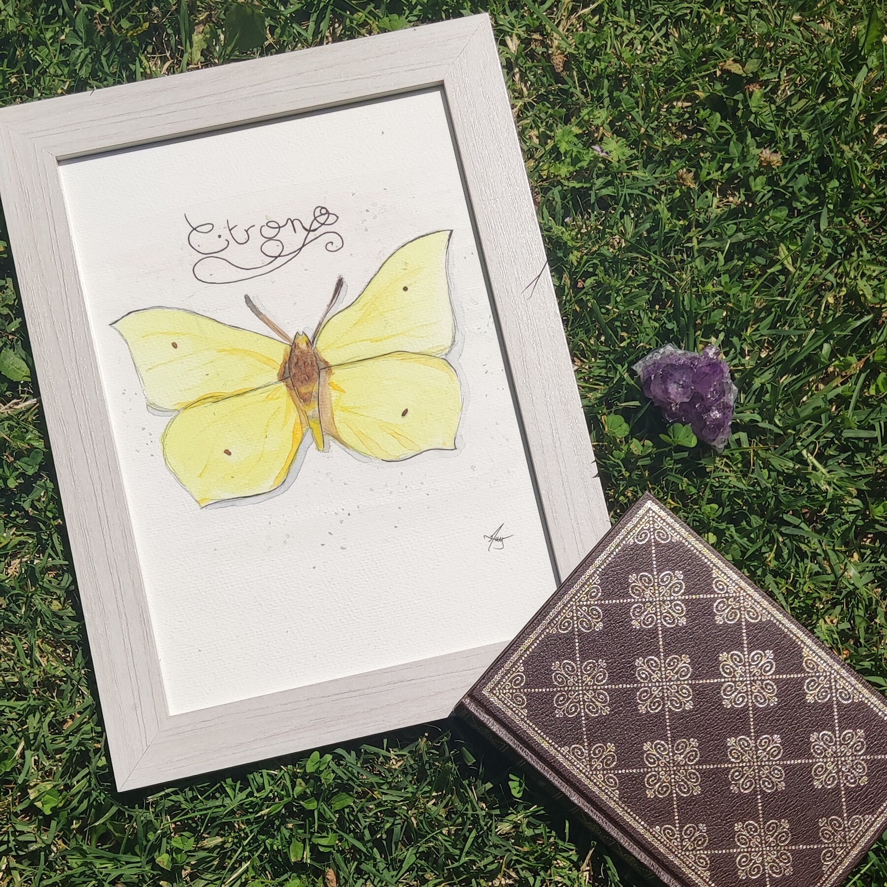 Papillon Citron, Aquarelle, Fait Main, Déco