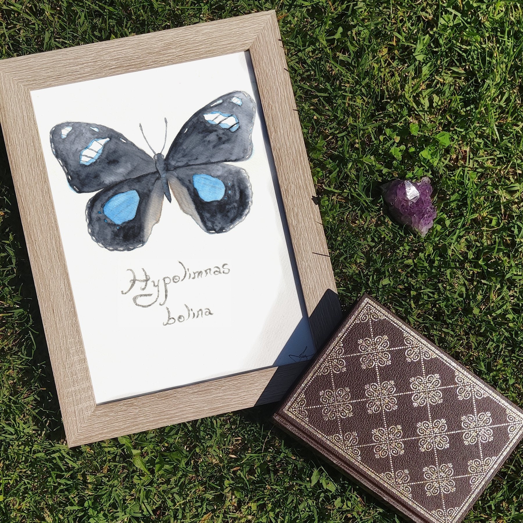 Tableau Hypolimnas Bolina Fait Main à L'aquarelle