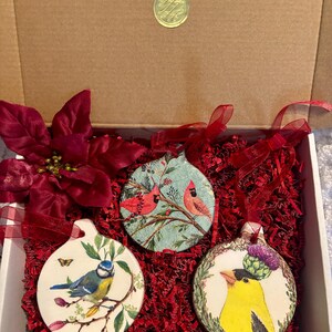 May include: Three round ceramic ornaments with bird illustrations, including a blue tit, a cardinal, and a goldfinch, nestled in a box with red paper shred and a red poinsettia flower. Each ornament features a red ribbon loop for hanging.