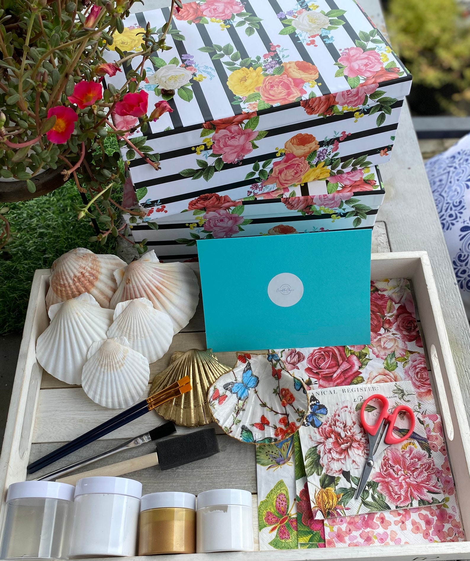 𝓝𝓮𝔀 Decoupage Kit DIY Decoupage Craft Kit Scallop Shell Etsy