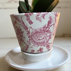 May include: A small, white ceramic planter with a red floral design and a matching saucer. The planter holds a green plant with dark green leaves. The design on the planter is a classic toile pattern.