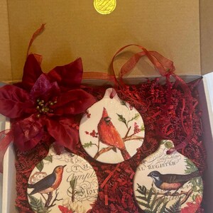 May include: Three round ceramic ornaments featuring illustrations of birds on branches, nestled in a cardboard box with red paper shred and a large red poinsettia flower. Each ornament has a red ribbon for hanging and vintage-style script text.