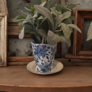 May include: A potted plant with large, soft, gray-green leaves sits in a blue and white floral patterned ceramic pot. The pot rests on a small, white saucer. The plant is on a wooden table, with antique frames in the background.