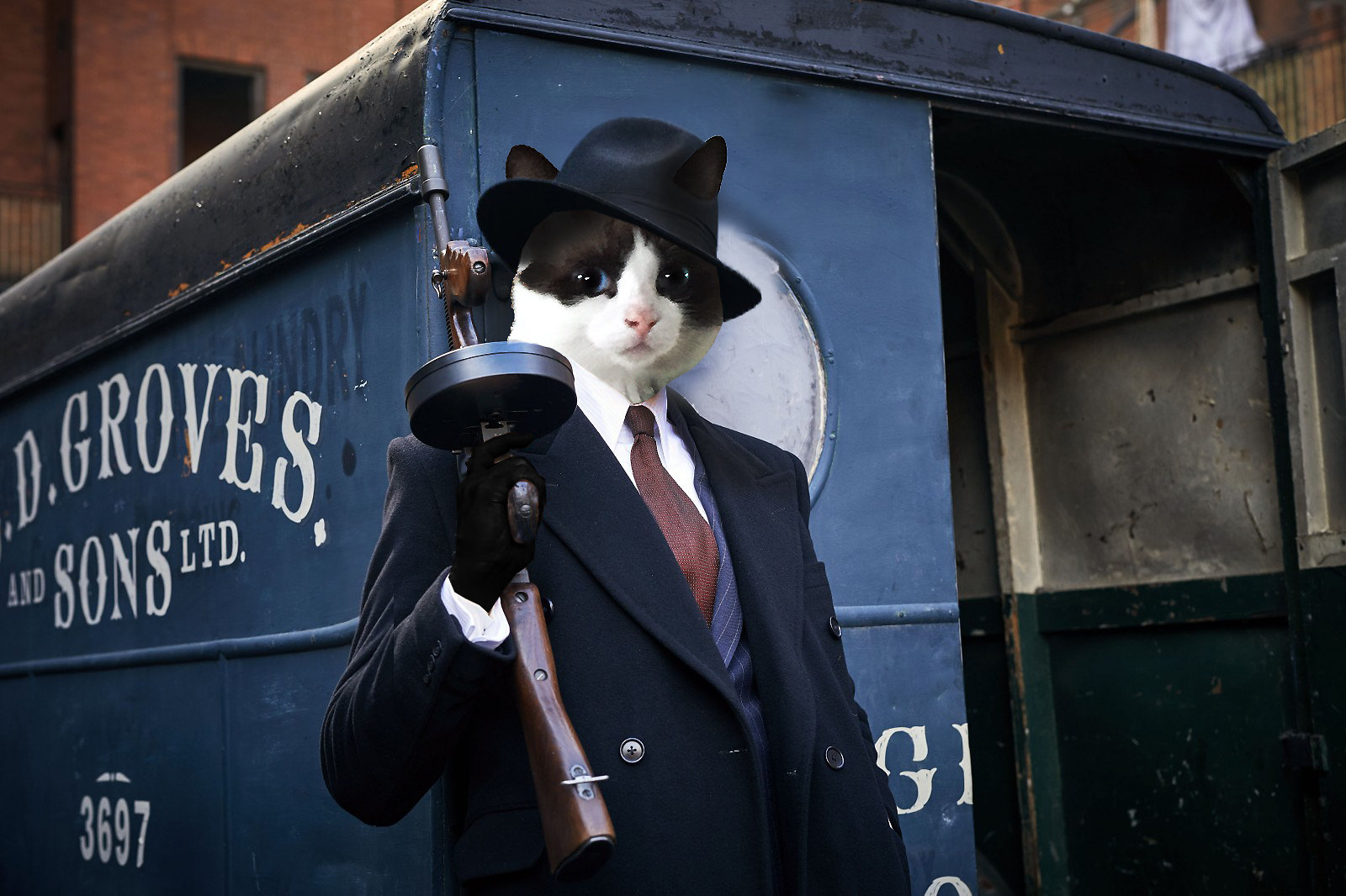 Portrait Chat Personnalisé Peaky Blinders/Personalized Portrait Cat Blinders