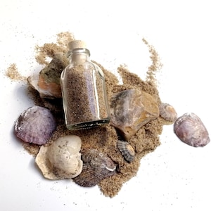 May include: A small glass bottle with a cork stopper filled with sand, surrounded by seashells and rocks on a white background.