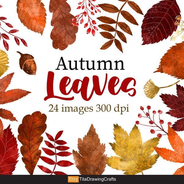 Watercolor Autumn Leaves Clipart - Fall Leaves - Leaf Variety - Leave Pattern - Orange/ Gold/ Red/ Brown Leaves Instant Download PNG- 300dpi