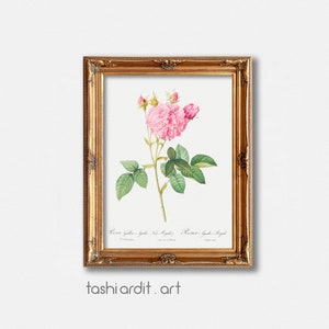Flower Wall Art Floral Poster Beach House Decor Vintage Flower Painting Print Roses Painting Printable Wall Art Botanical Prints
