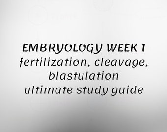 Embryologische Ultimative Studienanleitung (Woche 1)