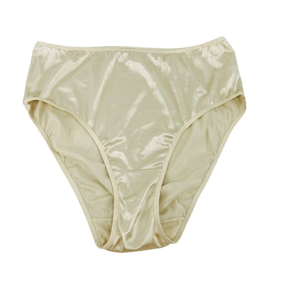 Vintage Lane Bryant Cacique Second Skin Liquid High Gloss Satin Panty  Granny 18/20 