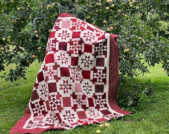 May include: A red and white quilt with a star pattern. The quilt is made of squares and is folded in half. It is lying on the grass under a tree.