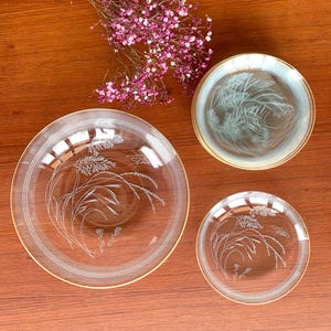 Vintage Glass Dessert Plate Set: Gold Floral Edge, 10-Piece