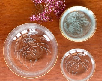 Juego de platos de postre de vidrio vintage con borde floral dorado (10 piezas)