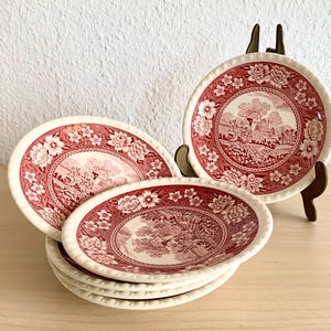 Villeroy & Boch RUSTICANA RED Transferware 4pc Place Setting