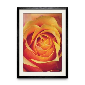 Golden Beauty - Counted Cross Stitch Pattern. 210w x 310h Stitch Count. Full Coverage, Digital Download, Pattern Keeper Compatible.