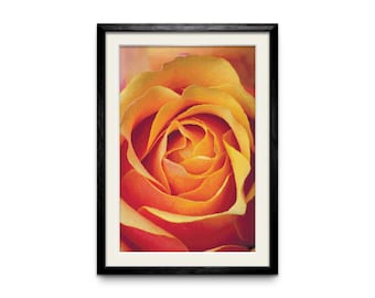 Golden Beauty - Counted Cross Stitch Pattern. 210w x 310h Stitch Count. Full Coverage, Digital Download, Pattern Keeper Compatible.