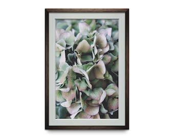 Hydrangea Modern Counted Cross Stitch Pattern. Full Coverage Floral XStitch Chart, Color PDF Digital Download, Pattern Keeper Compatible.