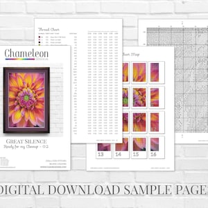 Gravity Modern Counted Cross Stitch Pattern. Full Coverage Moon XStitch Chart, PDF Digital Download, Pattern Keeper Compatible Design. image 7