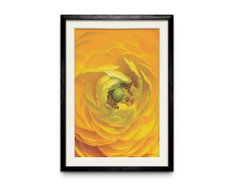 Persian Buttercup Cross Stitch Pattern – Full Coverage (Digital Download)