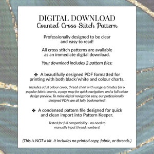 Gravity Modern Counted Cross Stitch Pattern. Full Coverage Moon XStitch Chart, PDF Digital Download, Pattern Keeper Compatible Design. image 5