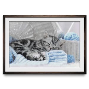 Catnap - Counted Cross Stitch Pattern. 510w x 330h Stitch Count. Full Coverage, Digital Download, Pattern Keeper Compatible.