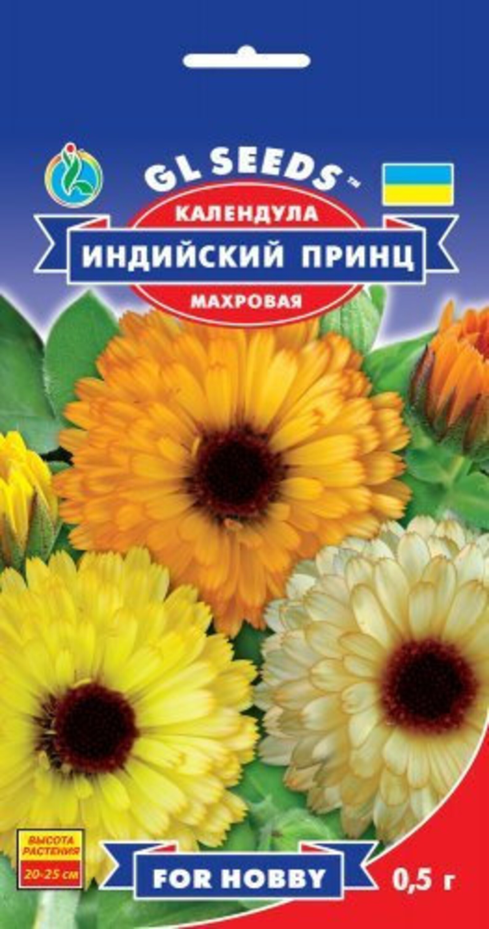 календула принц индии