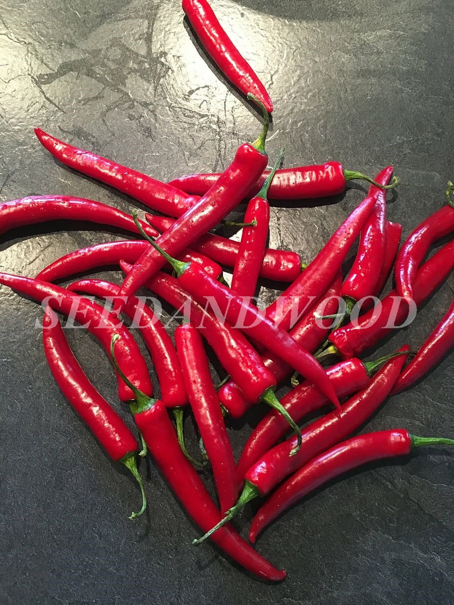 Hot Pepper Seeds SuperChili Chili pepper seedsred hot chile Etsy