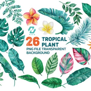Tropische bladeren png aquarel clipart, Instant Download
